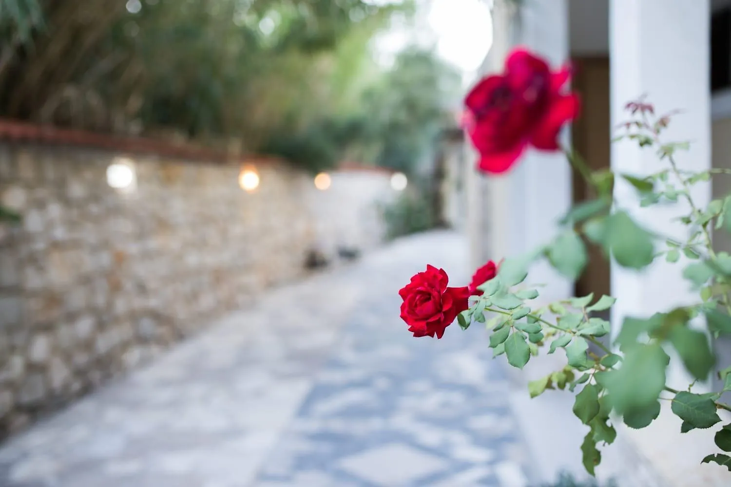 Bed & Breakfast Mb Pag Bed&Breakfast Pag Town Chorvatsko